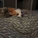 Janine Larson - @jlarson468 - Instagram