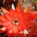 Janine Le - Facebook