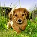Jeanine Leone - Facebook