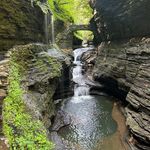 Janine Cavallo Marks - @janinemarks - Instagram