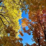 Janine Mark Spaulding - @janinemarkspaulding - Instagram