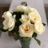janine - @janine.max - TikTok