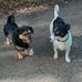 Jeanine Max - Facebook