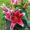 janinemaxwell723 - @smax963 - TikTok