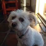 Janine McGee - Facebook