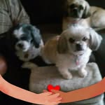 Janine Mead - @sjmead1960 - Instagram