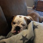 Janine Meyer - @janine_meyer_tgmd - Instagram