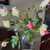 Janine Meyer Skemp - @janine.meyer.skem - TikTok
