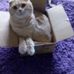 Janine Mohr - Facebook
