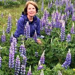 Janine North - @skyfallcottage - Instagram