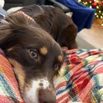 Janine Hukriede-Olson - @janine_olson22 - Instagram