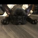 Janine Payne - @janinepayne792 - Instagram