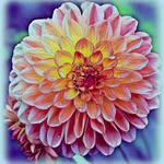 Janine Payne - @janine.payne.98 - Instagram