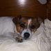Janine Perry - Facebook