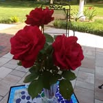 Janine S Phillips - @oldmilitaryroadantiques - Instagram