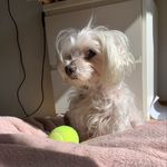 Janine Baird Plummer - @janinebairdplummer - Instagram