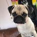 Janine Prieto - Facebook