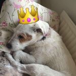 Janine The Potatoe Queen - @xx_queenjanine_xx - Instagram