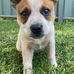 Janine Dunlop - Reeder - Facebook