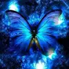 Jeannine Riedel - @jeannine.riedel - TikTok