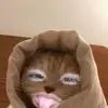 janineruth311 - @janineruth09 - TikTok