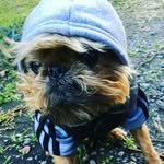 Janine Shaw - @merrillrac_6west - Instagram