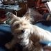 Jeanine Short - Facebook