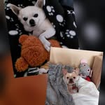 Janine Simon - @janine.simon.50746 - Instagram