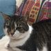 Janine Stokes - Facebook