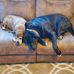 Jeanine Stuart - Facebook