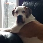 Janine Thomson - @janinethomson5 - Instagram