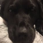 janine thomson - @janinethomson440 - Instagram