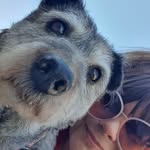Janine Whitehead - @janinewhitehead - Instagram