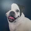 janinewhitehead63 - @janinewhitehead63 - TikTok