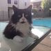 Janie Abbott - Facebook