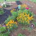 Janis Abbott - Facebook