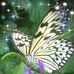 Janis Barber - Facebook