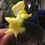 Janis Barton - @janis.barton.52 - Instagram