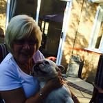 Janice Baxter - @coverupholstery - Instagram