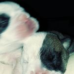 Janie Bender Bender - @janiebenderbender - Instagram