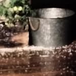 Janice Bingham - @utah890 - Instagram
