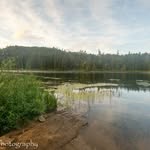 Janice Bingham Photography - @janicebinghamphotography - Instagram