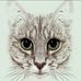 Janis Black - Facebook