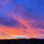 Janis - @janis_blackrock - Instagram