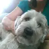 janisblair601 - @janisblair601 - TikTok