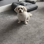 Janice Bond - @jandell139 - Instagram