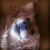 janis miranda catalan - @janisbond - TikTok