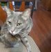 Janis Bouchard - Facebook