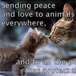 Janice Bowden - @janicebowden663 - Instagram