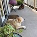 Janis Bowden - Facebook